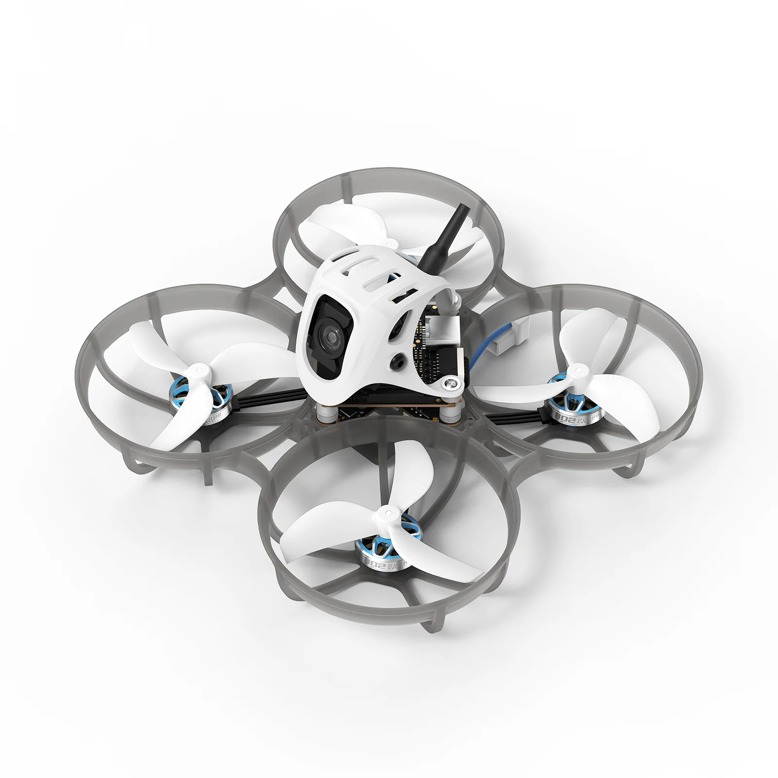 New Colors for Your Whoop